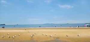 Daebudo Island Tour - Bangameori Beach in Daebudo Island Korea