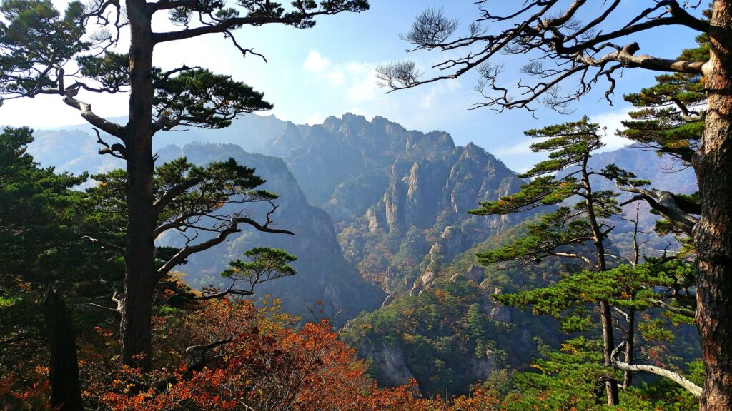 Seoraksan National Park Fall Foliage Scenic 설악산 단풍여행