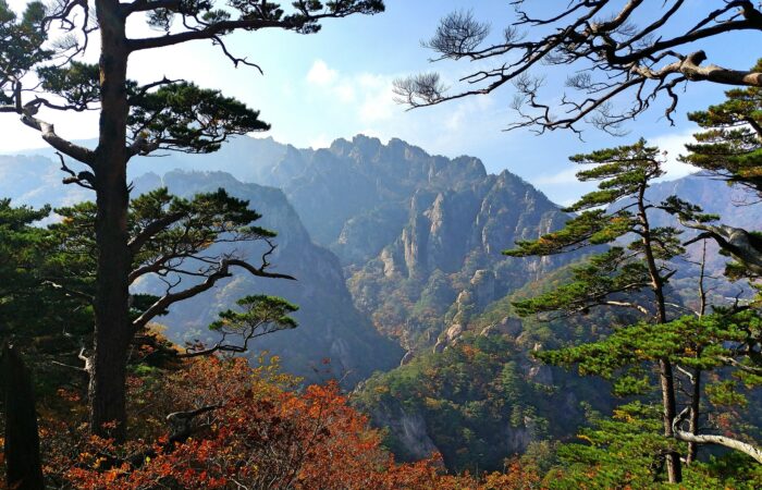 Seoraksan National Park Fall Foliage Scenic 설악산 단풍여행